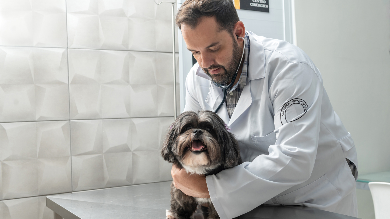 What is a fine needle aspirate?