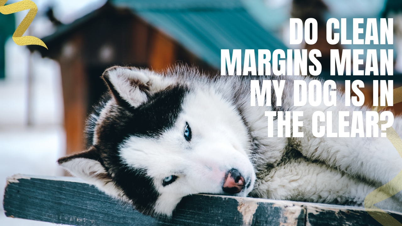 do clean margins mean I dont have to worry anymore?