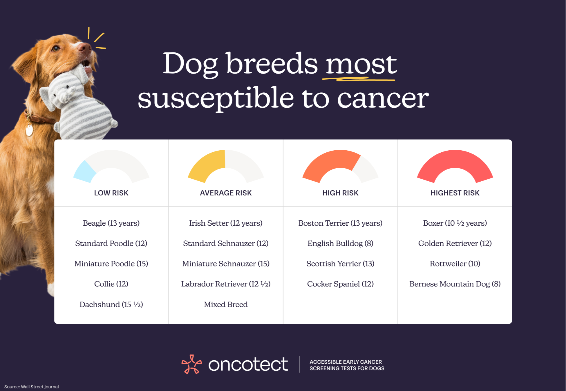 how to test for cancer in dogs