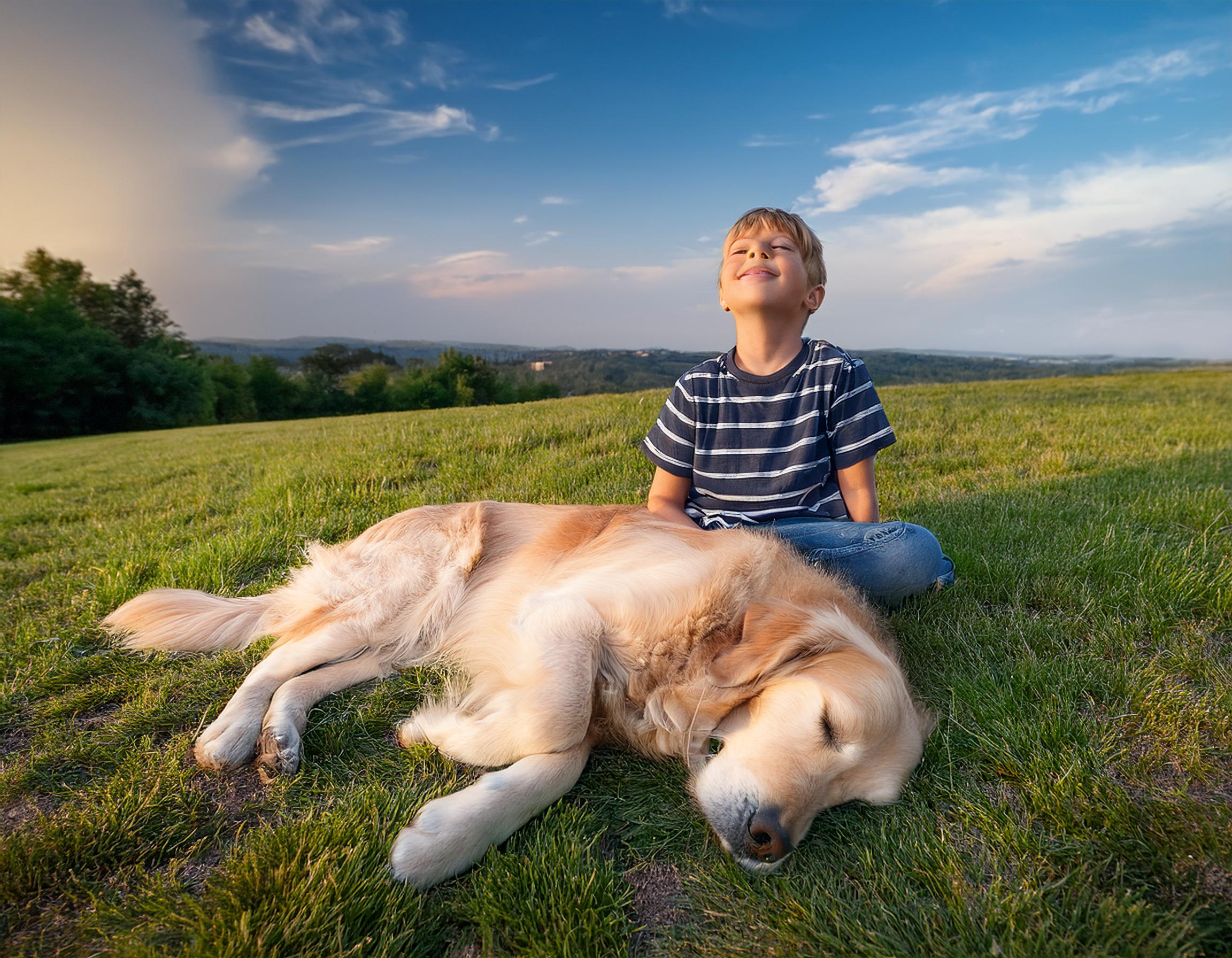 Affiliate sign up link to earn commission on dog cancer care products