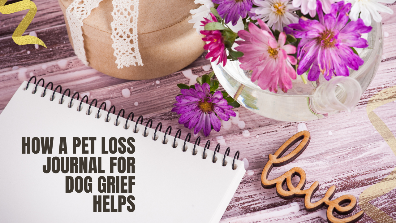 how a pet loss journal can help with grief and mourning of your dog