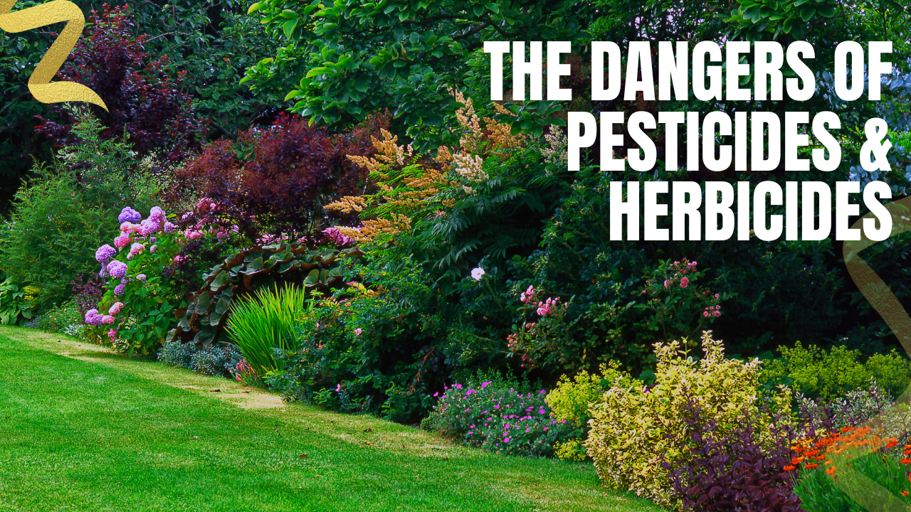 dangers of pesticides and herbicides