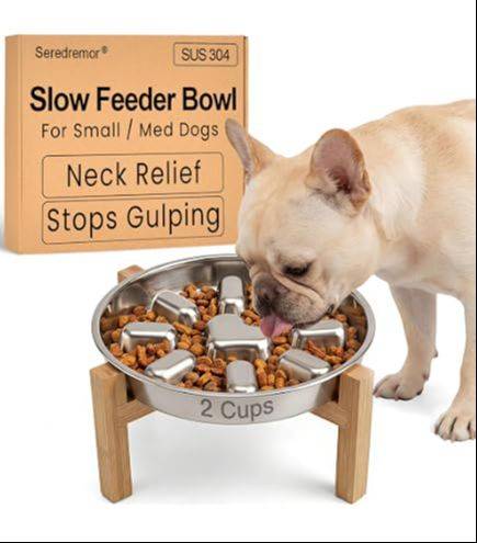 elevated slow feeder for dogs with cancer helps reduce strain on the body