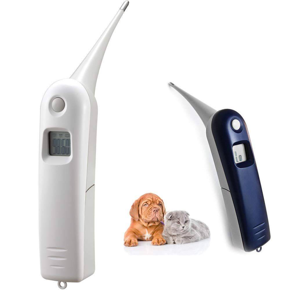 digital veterinary thermometer to record temperature of dogs with cancer