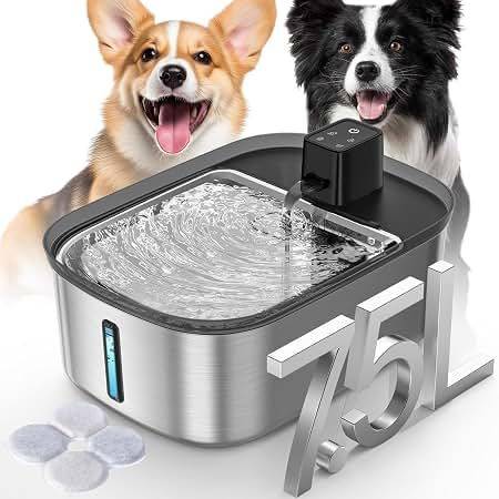 Filtered water system for dogs with cancer