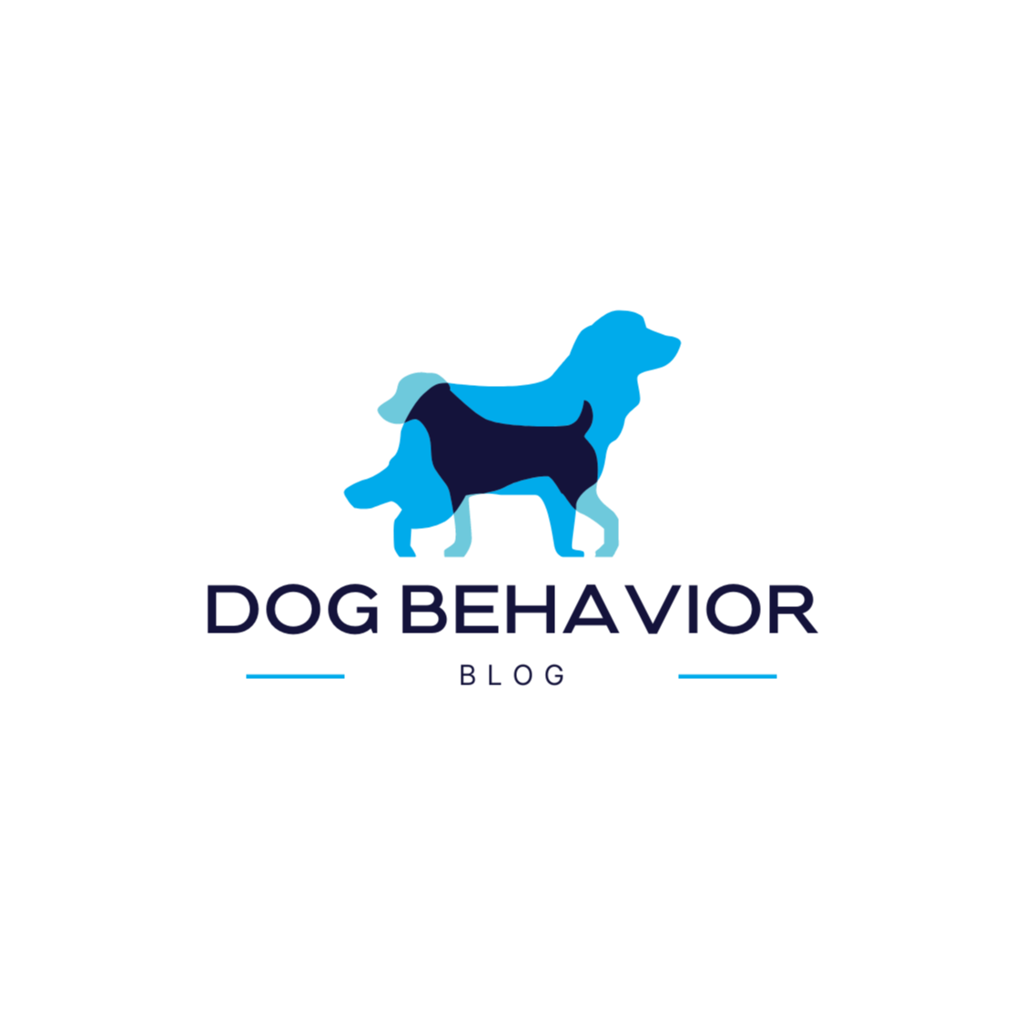learning why your dog acts the way they do with amber l Drake and the Drake dog cancer foundation