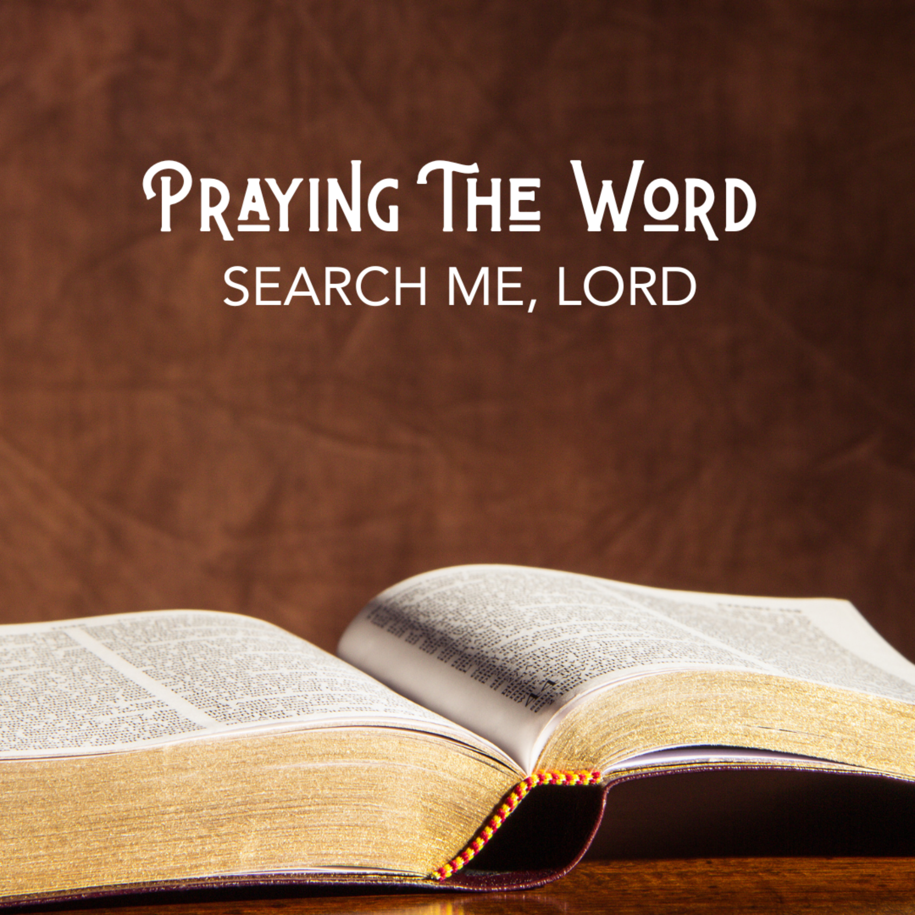 #548 Praying the Word: Search Me, Lord episode artwork