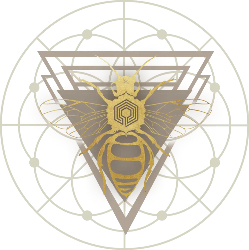 Footer Logo
