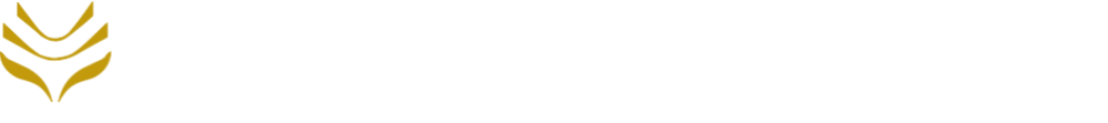 Meno Learning Lab Header Logo