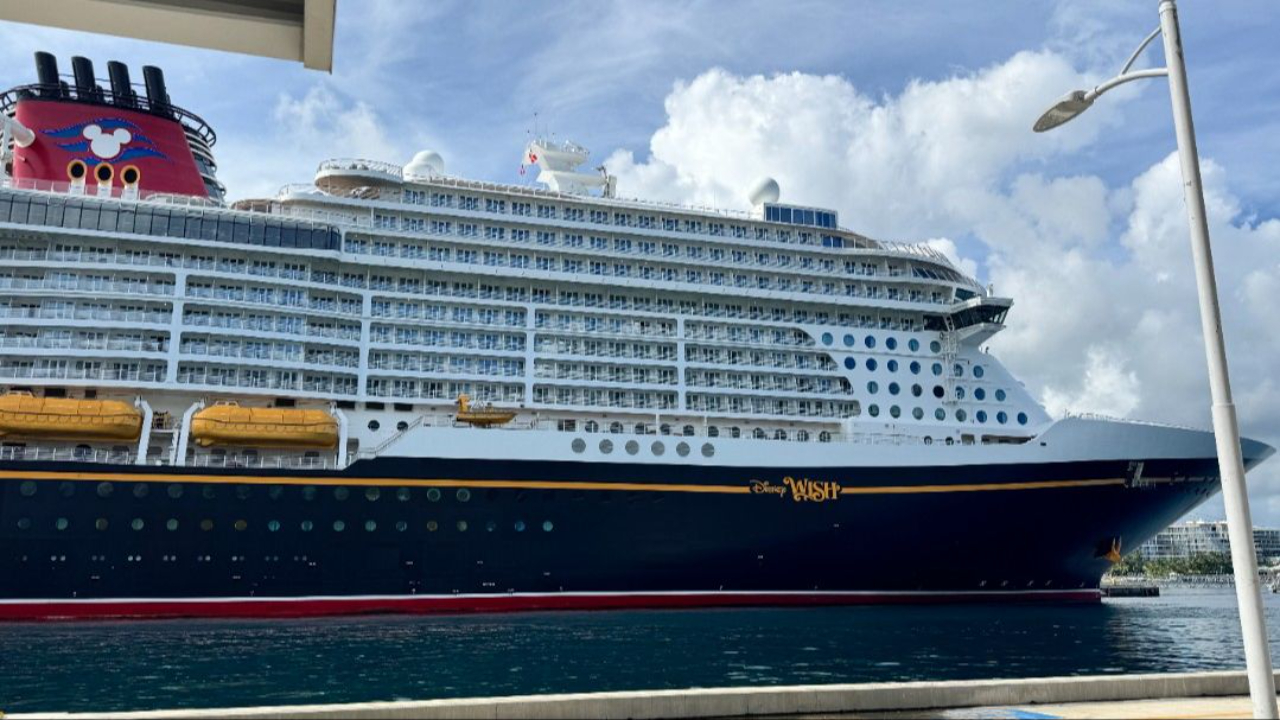 A Disney cruise ship filled with families docks
