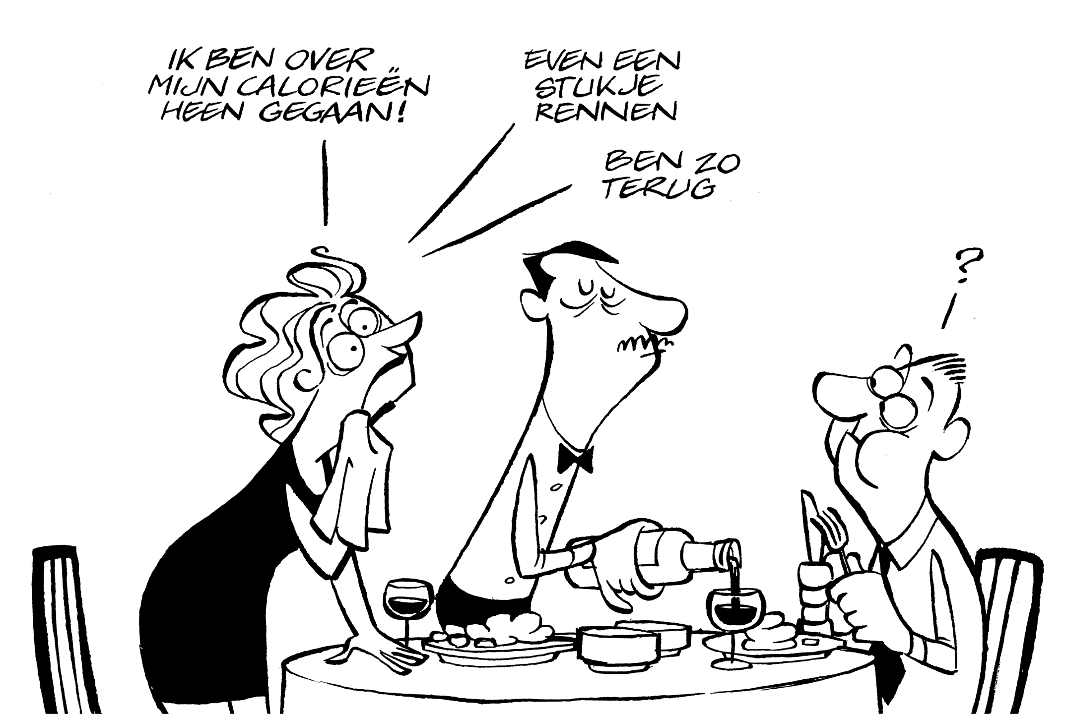 De Perfectionist