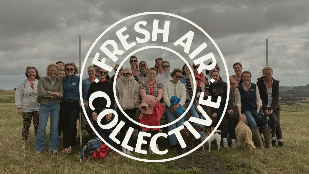 a group of female founders smiling and laughing on a hilltop