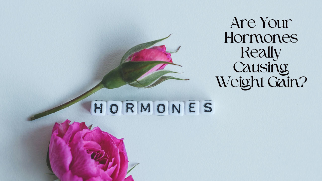 pink carnations and hormones 
