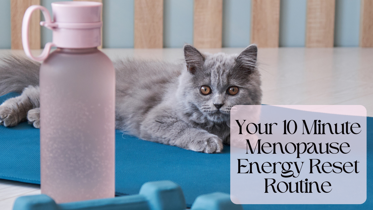 cat yoga and water bottle 