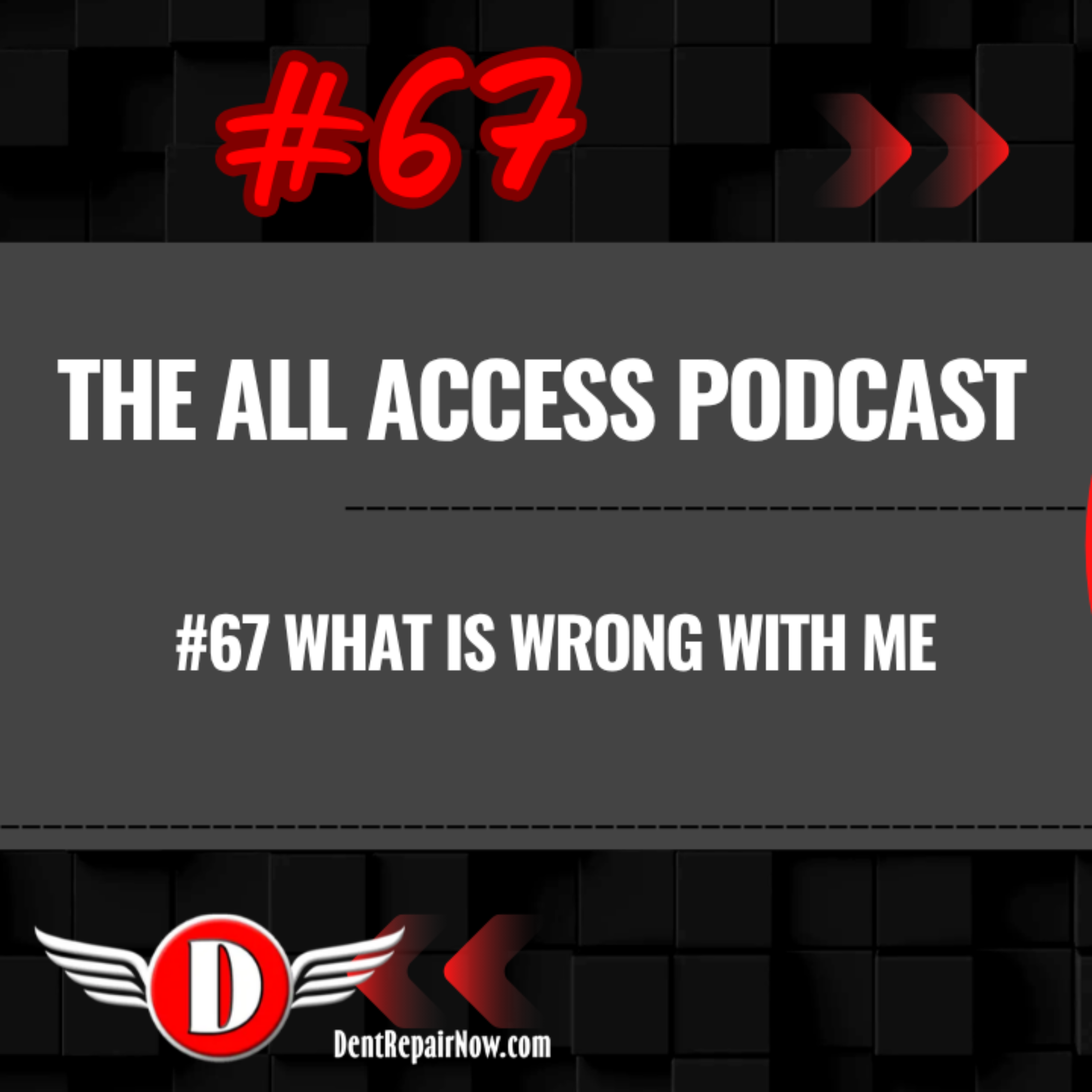#67 What Is Wrong With Me episode artwork