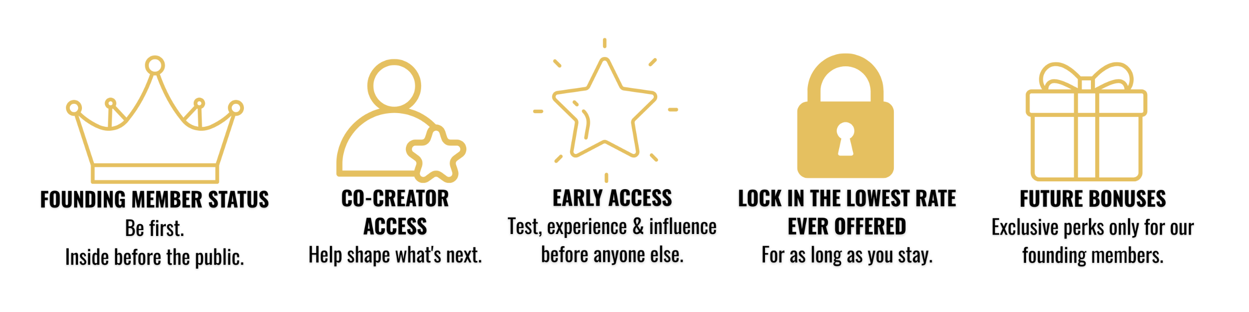 Founding member status, co-creator access, early access, lock in the lowest rate ever offered, future bonuses