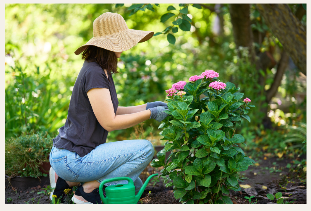 A woman working in her garden