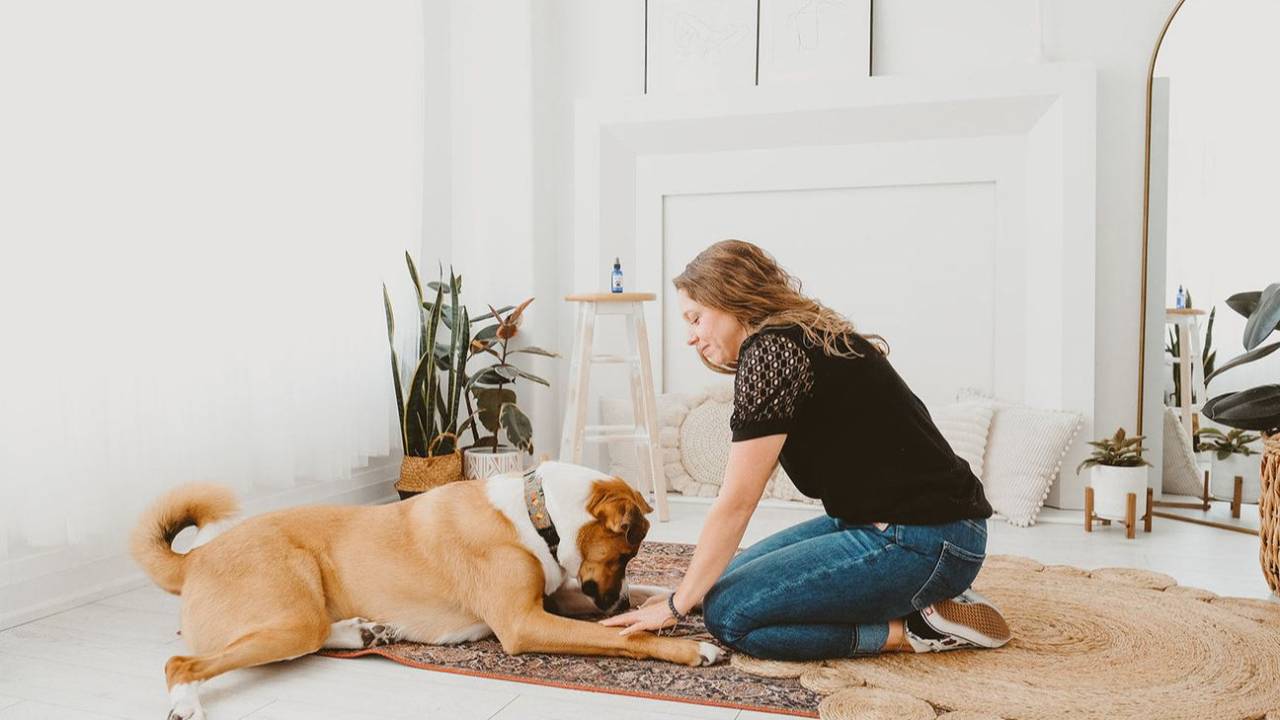 How Your Energy Affects Your Pet's Behavior