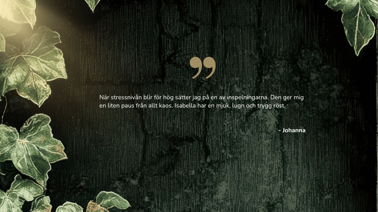 Kundrecension om Soulnests guidade meditationer från Vanessa