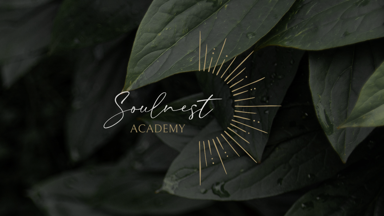 Soulnest Academy