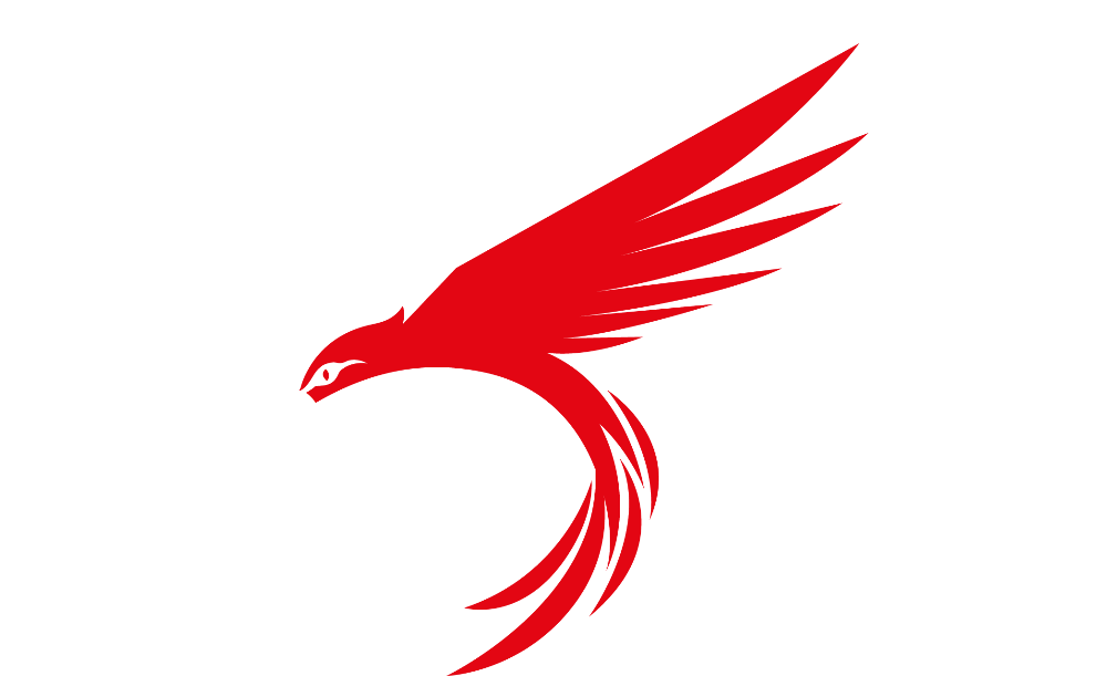 Footer Logo