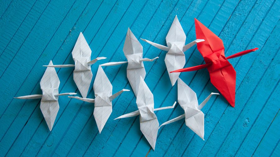 Origami cranes on a blue wooden surface, one red crane leading the white ones
