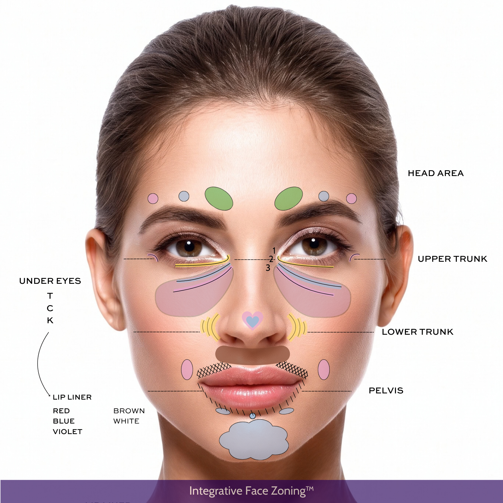 The signals of the face