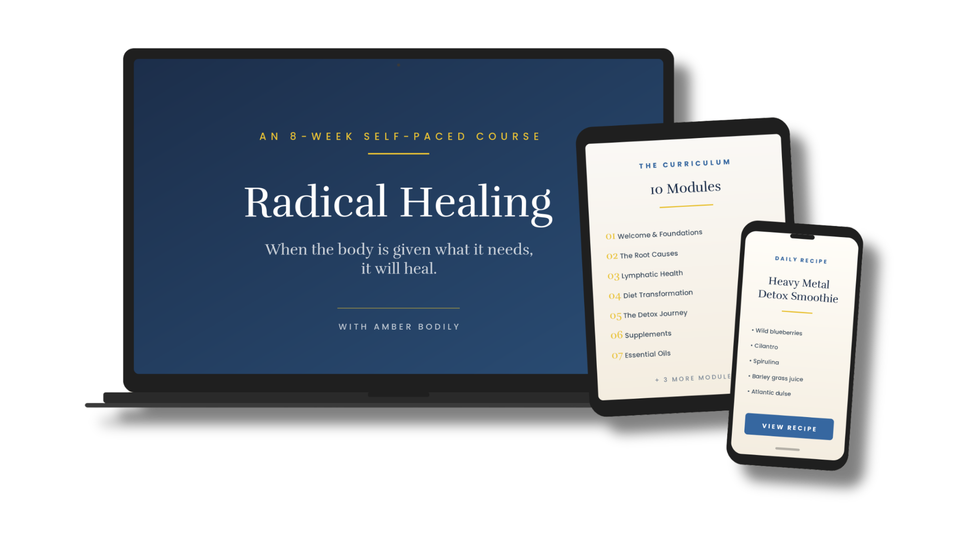 Radical Healing course