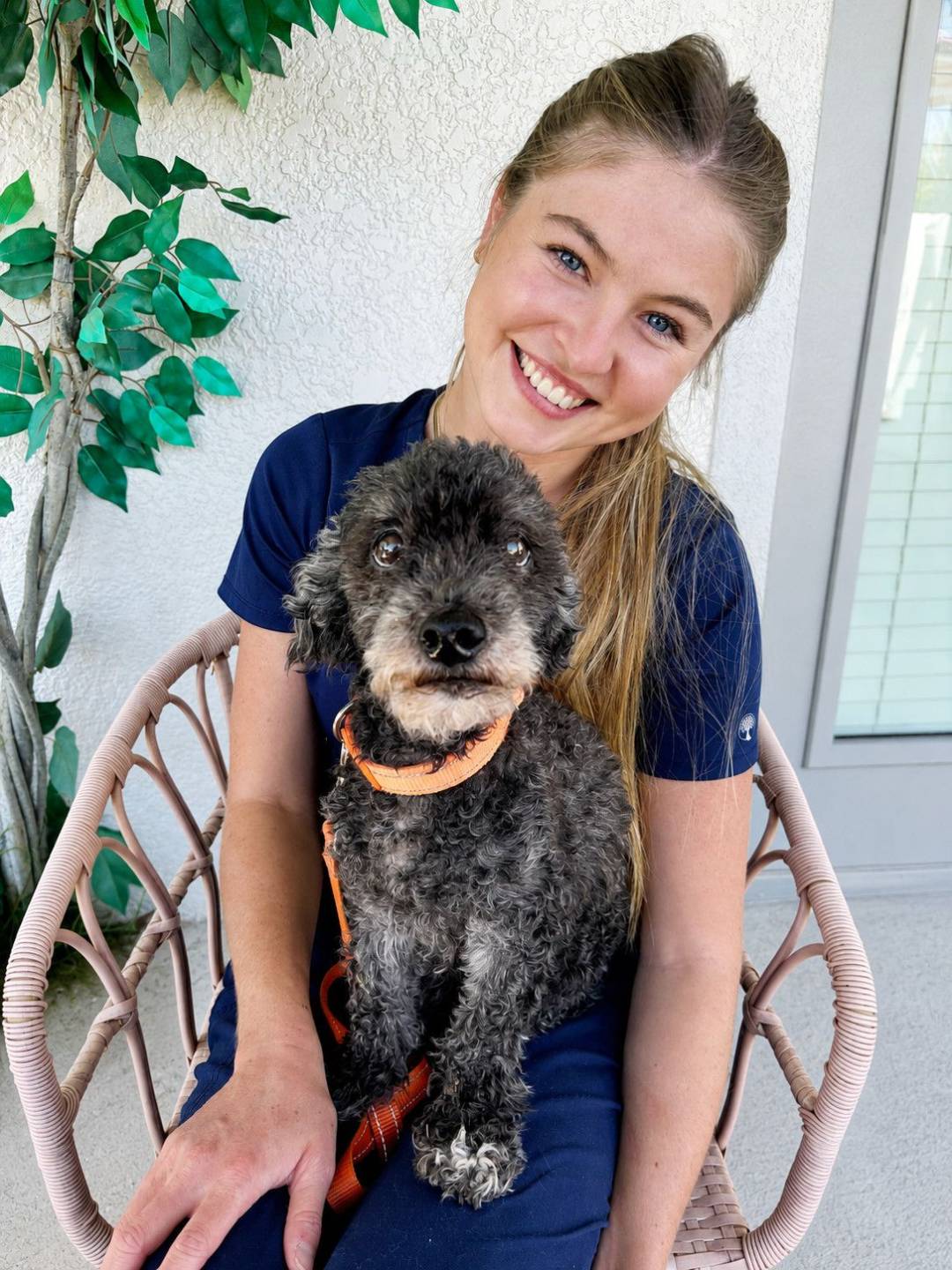 Bella, holistic vet pet care Florida