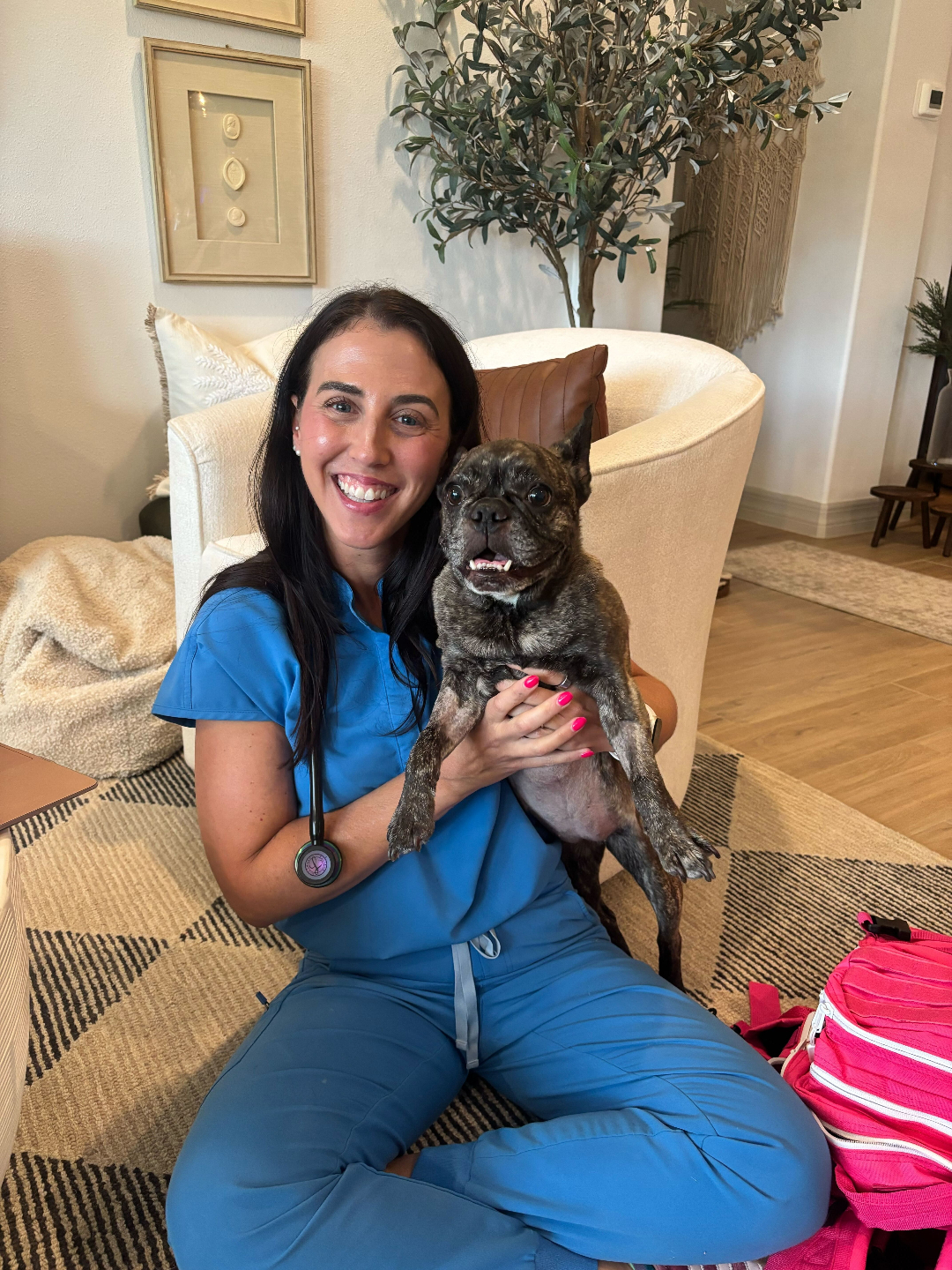 healthy pet nutrition guide