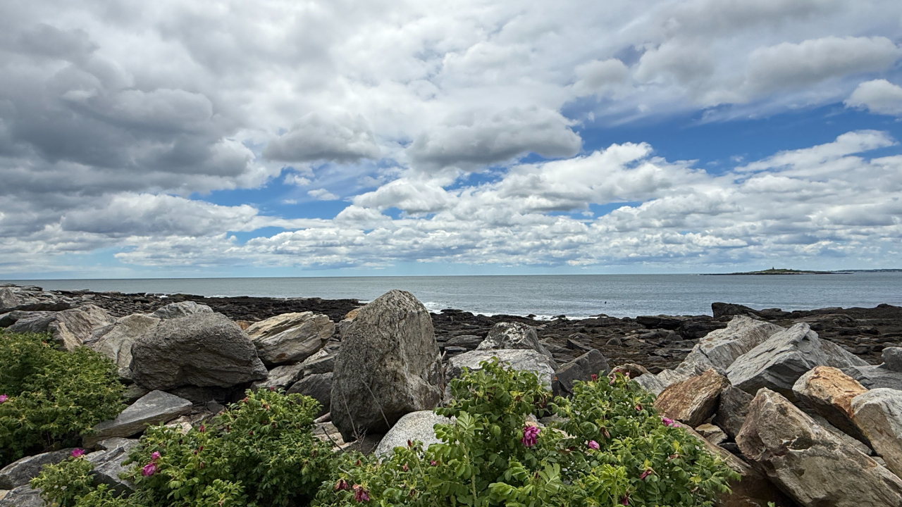Rocky shoreline with beach roses, ocean, and dramatic clouds, representing healthy boundaries, reflection, and burnout prevention.