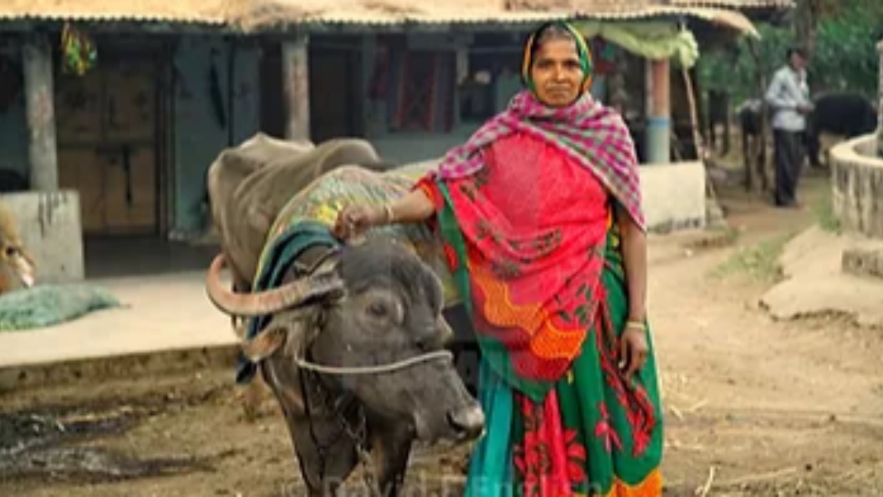 The Role of Livestock in Women’s Empowerment and Food Security