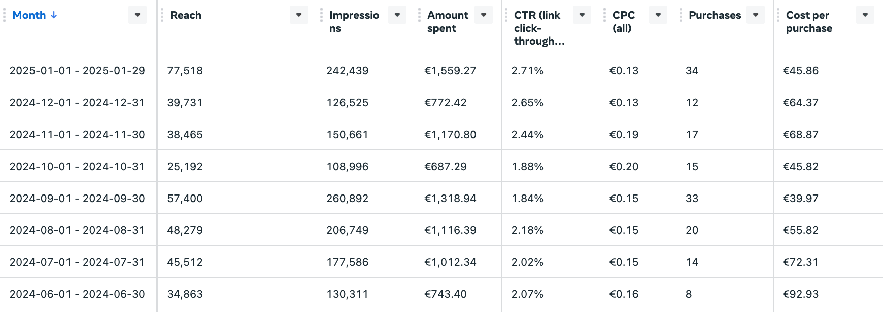 Original ecommerce advertising report showing monthly spend, purchases and cost per purchase in euros