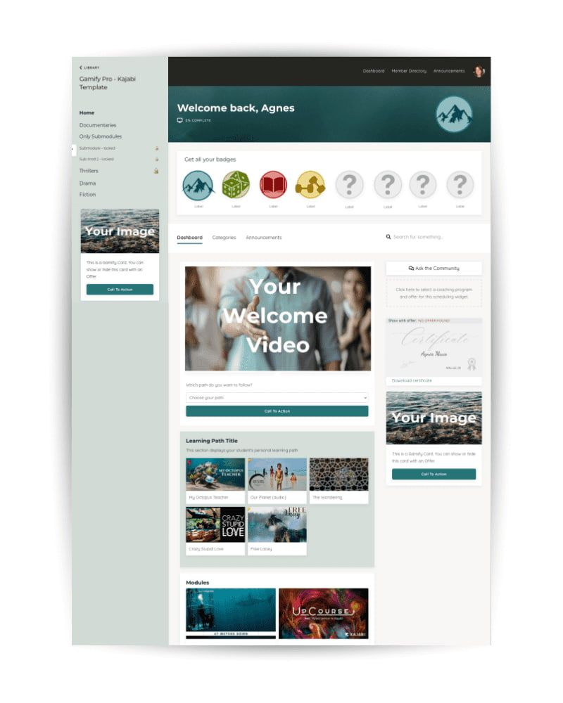 A screenshot of a Gamify Pro template.