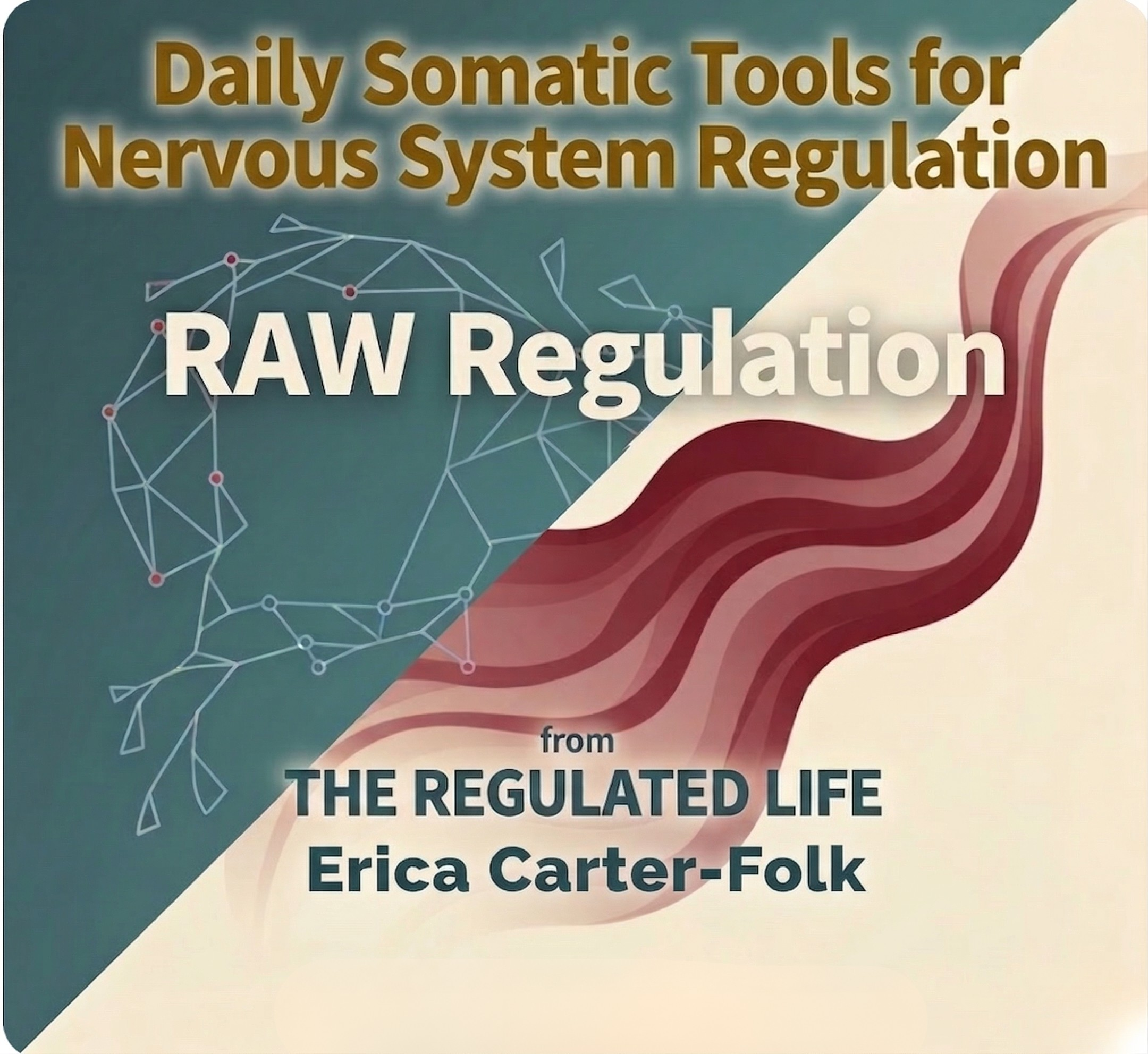 Episode 67: RAW Regulation| The Cost of the Armor: What Protection Is Actually Costing You episode artwork