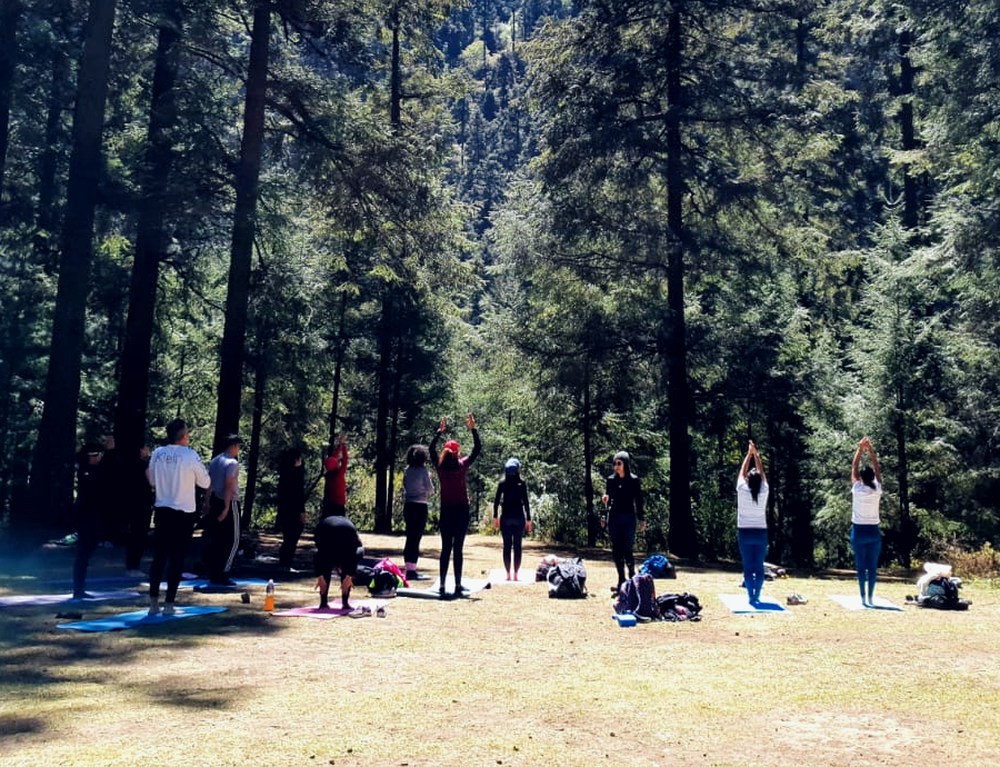 Clase de comunidad en el bosque