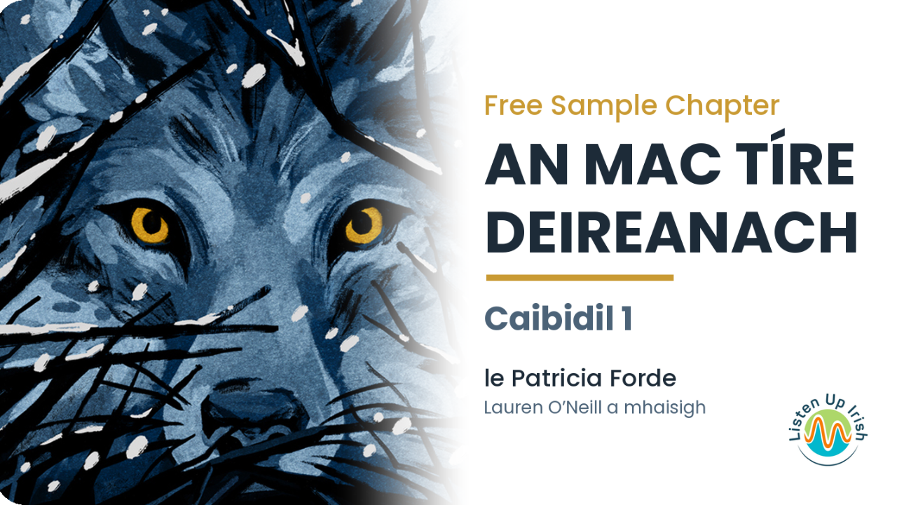 Free sample chapter: An Mac Tíre Deireanach, Caibidil 1, le Patricia Forde