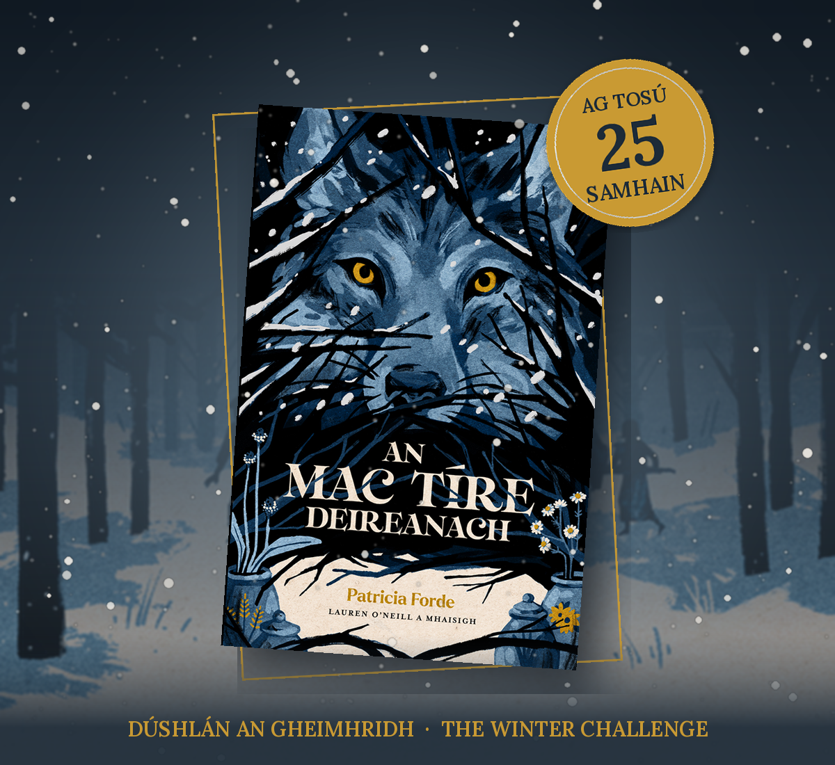 An Mac Tíre Deireanach by Patricia Forde – the Winter Challenge starts 25 November
