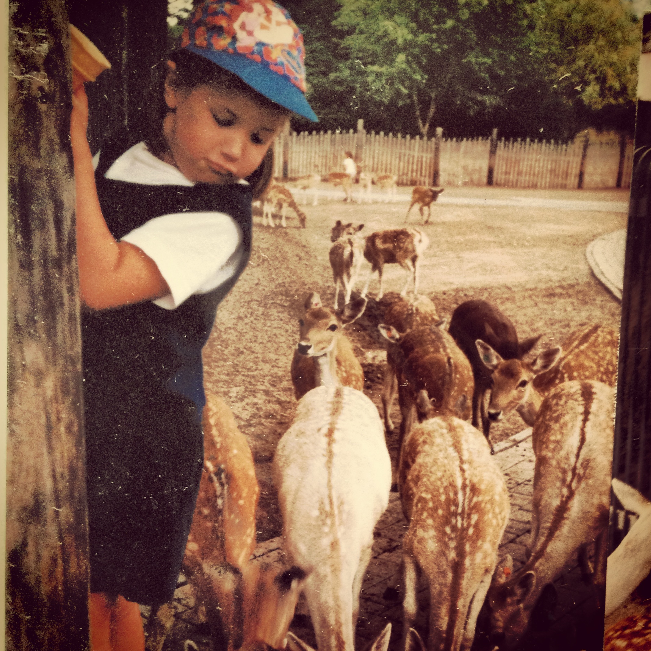 Little Meg in a ball cap, surrounded by a herd of deer, looking deeply unimpressed