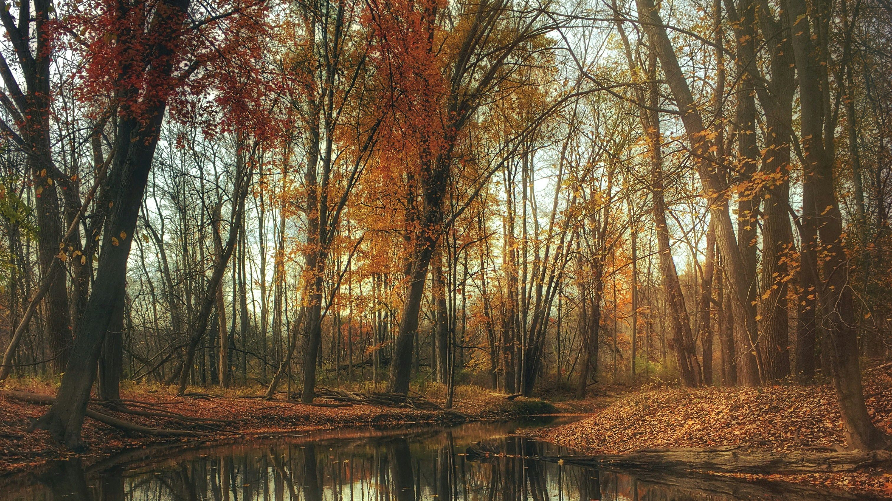 Turning Predictable Patterns into Strategic Advantages Slow days do not always mean something is wrong, and busy days do not always mean you are doing everything right. The key is understanding the natural rhythm and seasonality of your business.