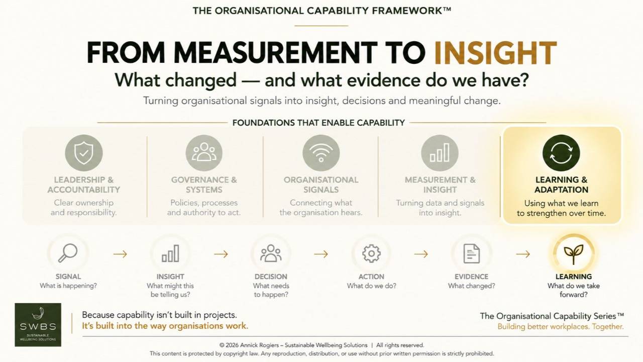 Learning & Adaptation: What Actually Changes After an Organisation Learns Something?