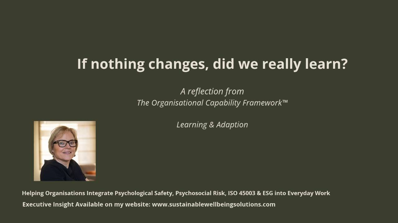 Learning and Adaptation within The Organisational Capability Framework, exploring how organisations learn from harmful leadership and change underlying conditions.
