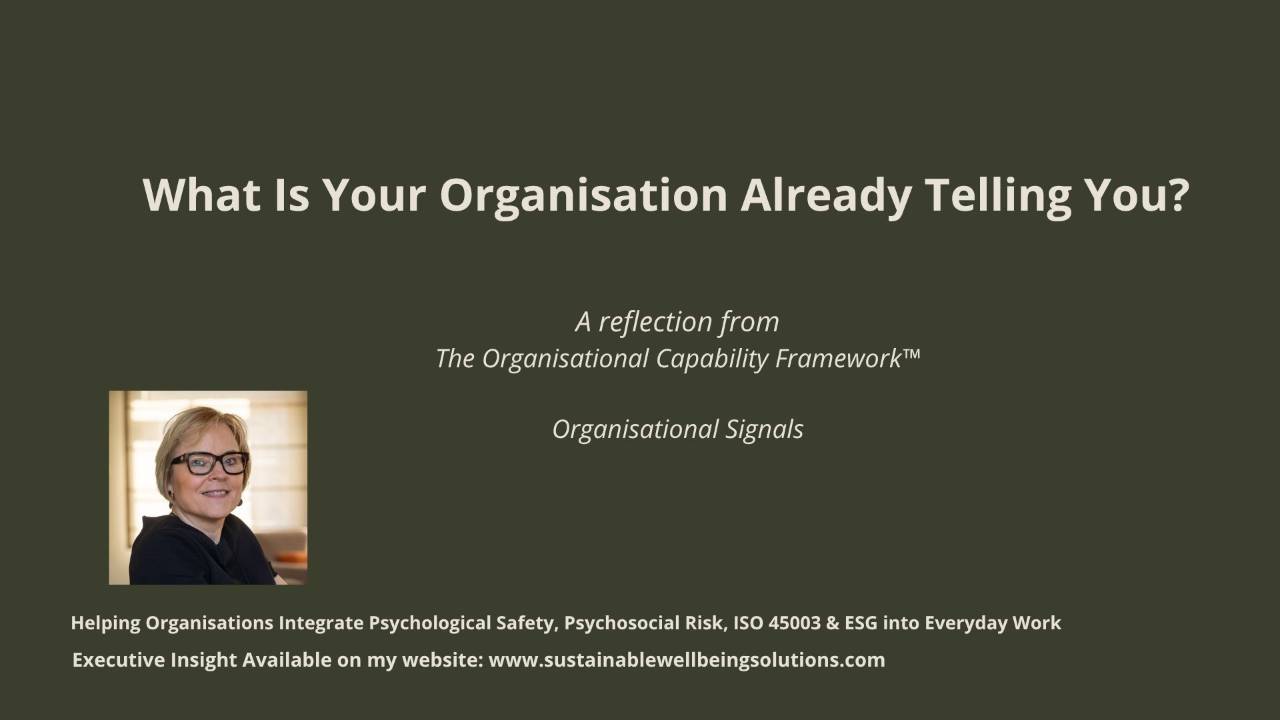 Organiasational Signals within The Organisational Capability Framework by Annick Rogiers