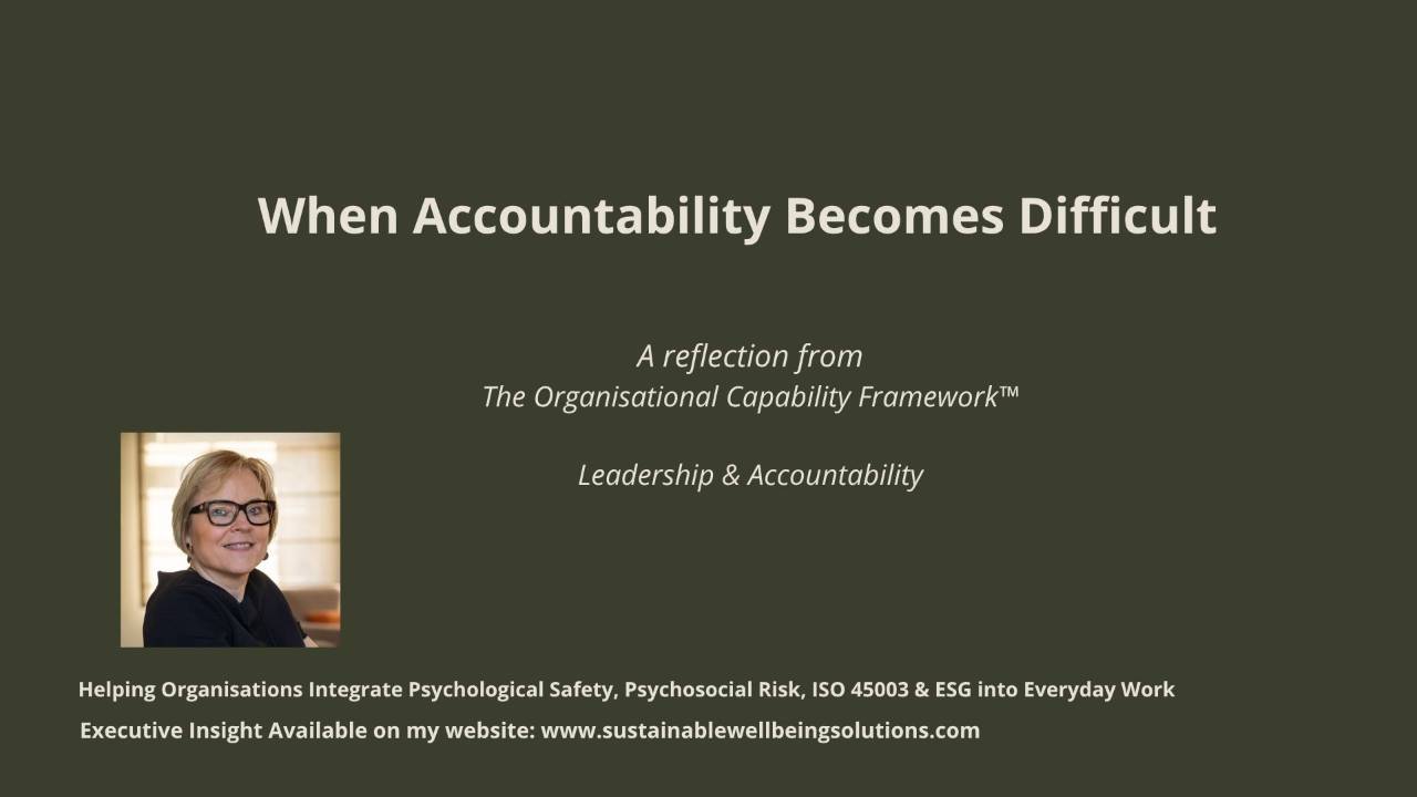 Leadership and Accountability within The Organisational Capability Framework by Annick Rogiers