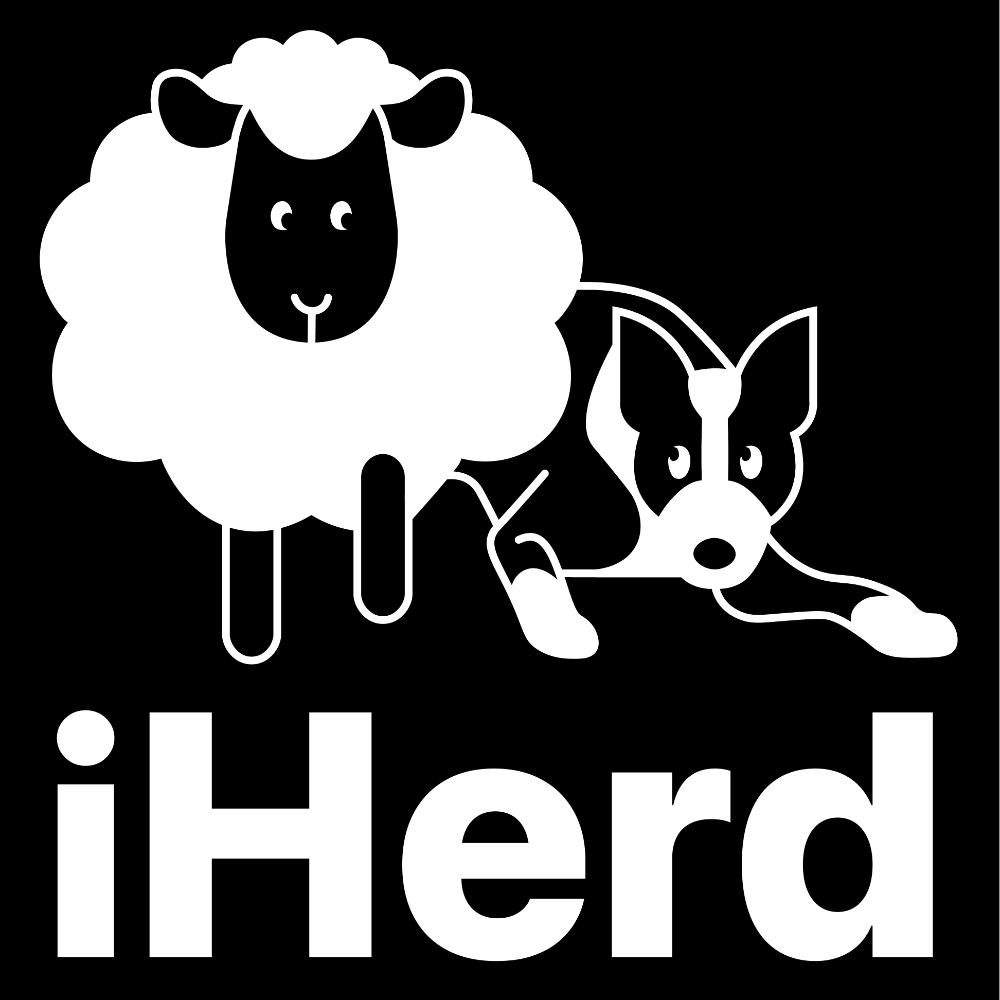 Header Logo