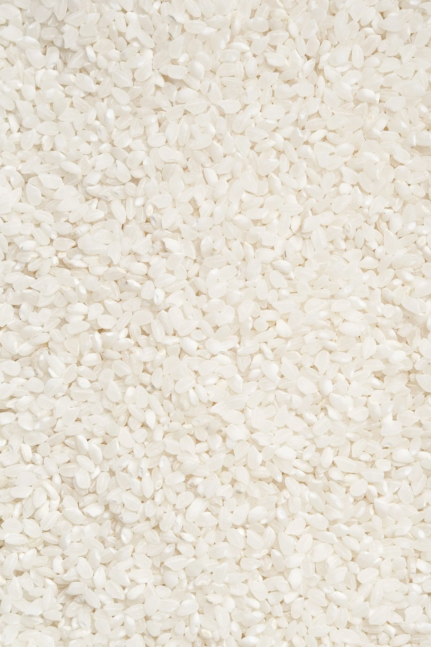 Rice used in Japanese sake beauty rituals