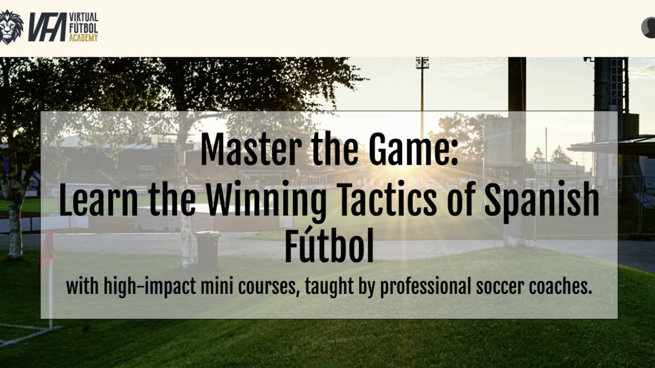 VFA Mini Courses
