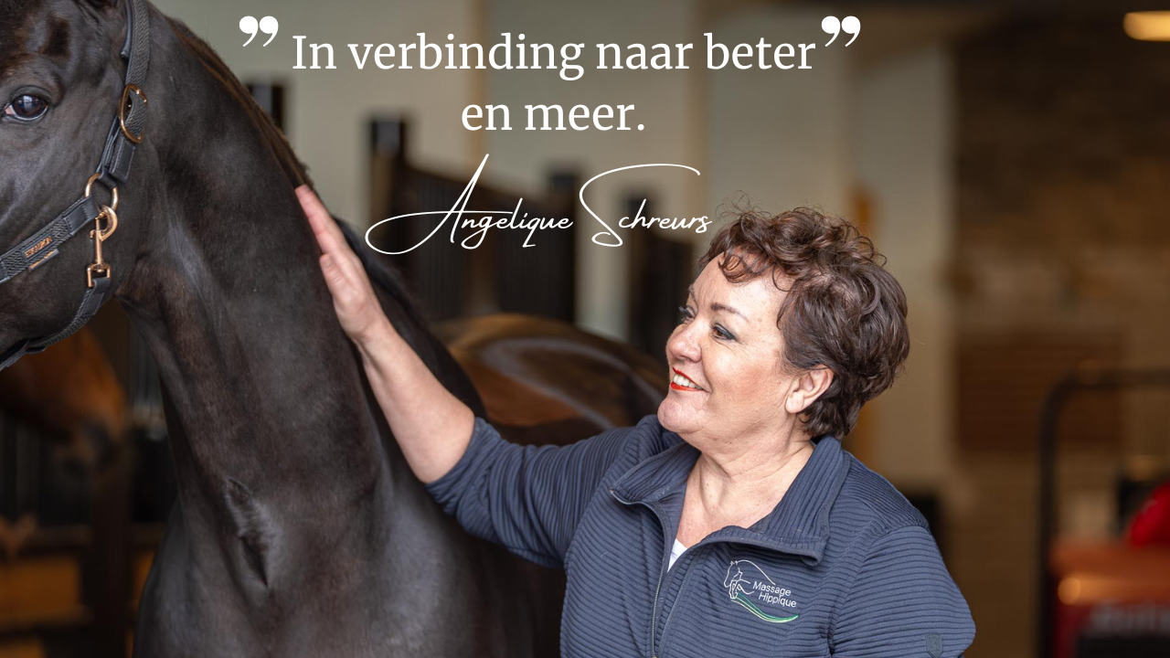 Het paard bepaalt