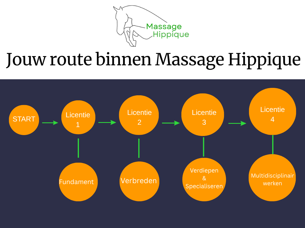 Paardenmassage licenties Massage HIppique