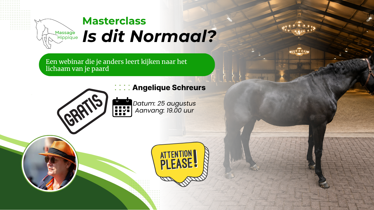 Masterclass - Is dit normaal?